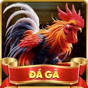Quảng bá 77 ball chính thức